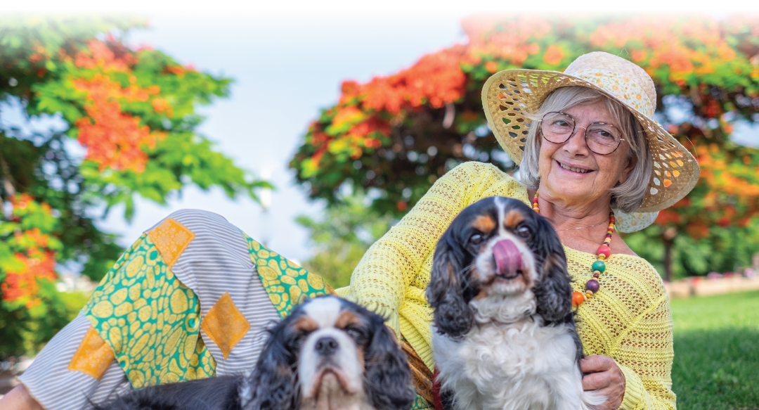 Senior smiling woman lying outdoors in the park with two cavalier king Charles spaniel dogs